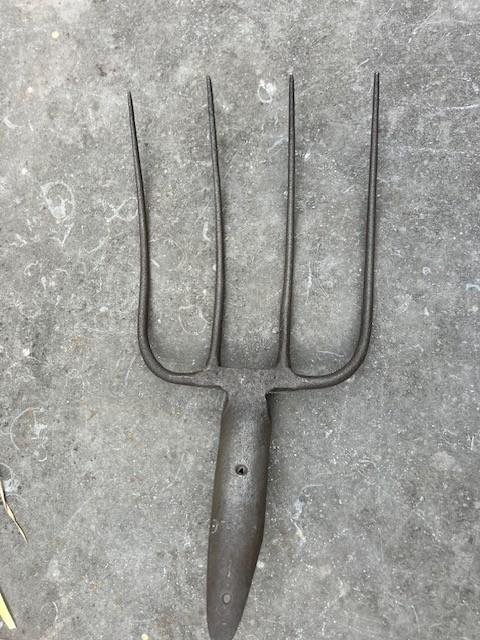 OUDE RIEK. 4 TANDEN., Antiek en Kunst, Antiek | Gereedschap en Instrumenten, Ophalen of Verzenden