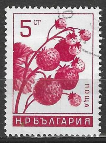 Bulgarije 1965 - Yvert 1368 - Fruit - Aardbeien (ST)