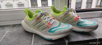 Adidas Sneakers 42.5 beschikbaar voor biedingen