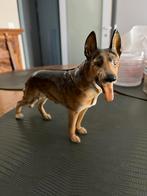 Duitse herder, Ophalen of Verzenden