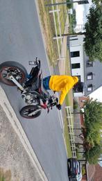Derbi drd racing, Ophalen, Zo goed als nieuw, 50 cc, Derbi
