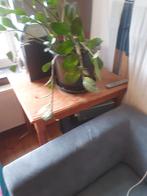 Volhouten tafel, Huis en Inrichting, Tafels | Salontafels, Ophalen, Gebruikt