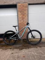 Custom hard tail mountainbike met carbon frame, Fietsen en Brommers, Fietsen | Mountainbikes en ATB, Ophalen