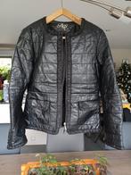 Leder jas nieuw maat 38, Kleding | Dames, Ophalen of Verzenden, Zo goed als nieuw, Maat 38/40 (M)