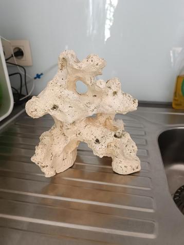 Aquarium rots  beschikbaar voor biedingen