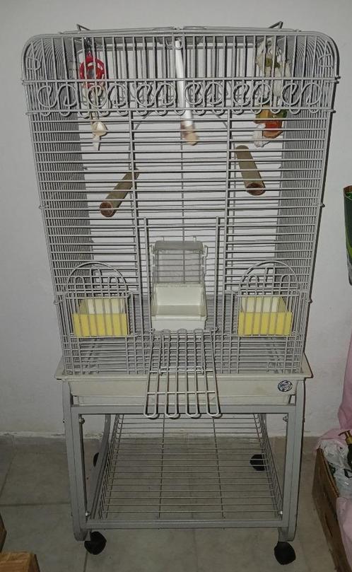 Grande cage pour perroquet avec ses accessoires complets, Animaux & Accessoires, Oiseaux | Cages & Volières, Enlèvement ou Envoi