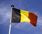 Belgische vlaggen, Ophalen of Verzenden, Zo goed als nieuw