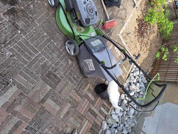 Gras maaier  beschikbaar voor biedingen