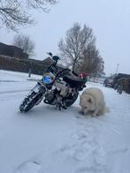 Skyteam, Fietsen en Brommers, Brommers | Overige merken, Klasse A (25 km/u), Ophalen of Verzenden, Zo goed als nieuw, 4 versnellingen