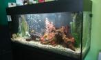 Aquarium 250 L avec meuble 2 portes et luminaire, Dieren en Toebehoren, Ophalen, Gebruikt, Leeg aquarium