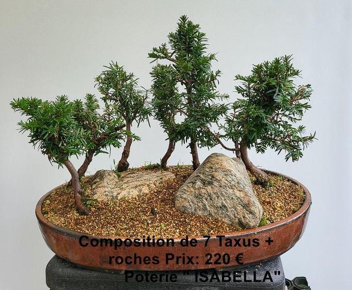 Samenstelling van 7 taxi's + stenen, Tuin en Terras, Overige Tuin en Terras, Zo goed als nieuw, Ophalen