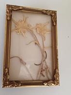 2 oude edelweiss bloemetjes in kadertje, Antiek en Kunst, Ophalen of Verzenden