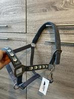 Veel paardenspullen meeste nieuw, Dieren en Toebehoren, Ophalen of Verzenden, Nieuw