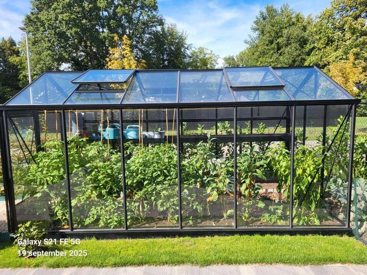 Serre in zwart aluminium, Tuin en Terras, Kassen, Zo goed als nieuw, Kweekkas, Aluminium, Glas, Ophalen
