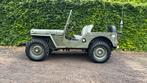 Willys jeep, Jeep, Diesel, Particulier, Te koop