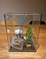 Visaquarium en toebehoren, Dieren en Toebehoren, Vissen | Aquariumvissen