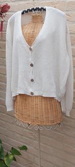 Vest 66cm van oksel tot oksel pimkie, Kleding | Dames, Grote Maten, Pimkie, Ophalen of Verzenden, Zo goed als nieuw, Wit