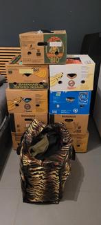 Lot kinderkledij, Enlèvement