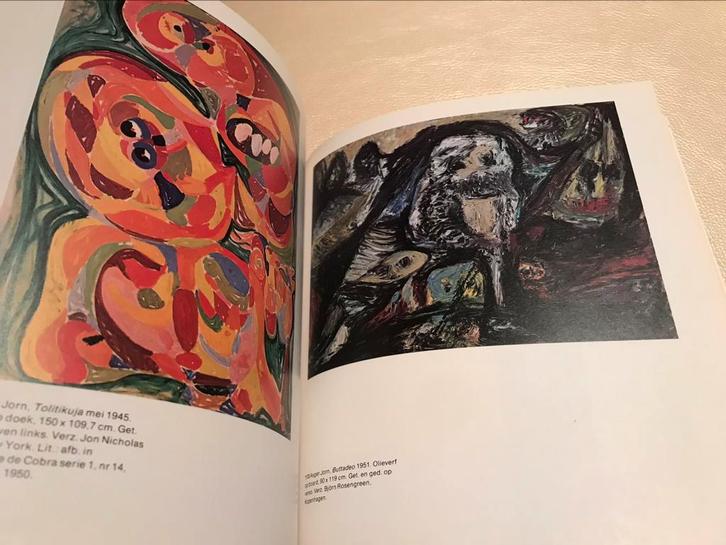 Cobra overzicht 340pag, Boeken, Kunst en Cultuur | Beeldend, Zo goed als nieuw, Schilder- en Tekenkunst, Ophalen of Verzenden