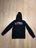 Champion Hoodie, Verzenden, Jongen of Meisje, Trui of Vest, Zo goed als nieuw