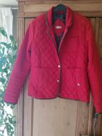 Korte jas, Kleding | Dames, Maat 42/44 (L), Ophalen of Verzenden, Dolce c, Gedragen