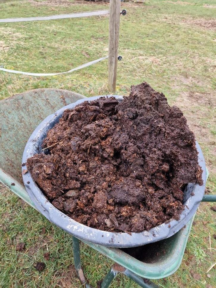 Gratis paardenmest, Tuin en Terras, Aarde en Mest, Mest, Ophalen