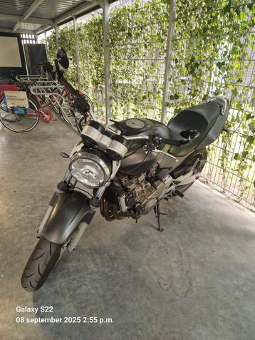Cb600f old skool beschikbaar voor biedingen