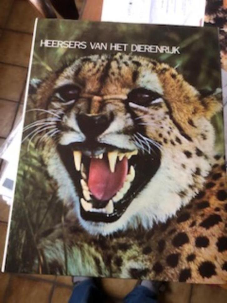 LECTURAMA DIERENBOEKEN MET VEEL PRENTEN en WEETJES, Boeken, Overige Boeken, Zo goed als nieuw, Ophalen