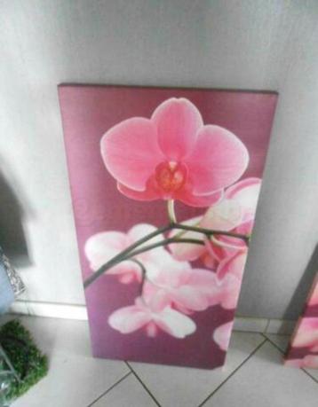 beau cadre orchidées.......seul ou par  2