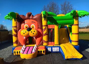 Multiplay Leeuw TE KOOP beschikbaar voor biedingen