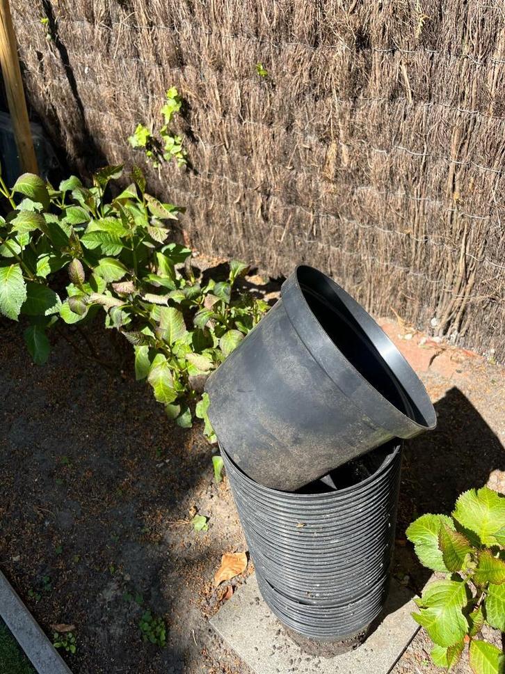 kweekpotten 69 stuks, Tuin en Terras, Bloempotten, Gebruikt, Kunststof, Balkon, Tuin, Minder dan 40 cm, 25 tot 40 cm, Rond, Ophalen
