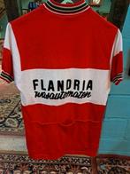 wollen koerstrui Flandria, Flandria, Overige typen, Ophalen of Verzenden, Zo goed als nieuw