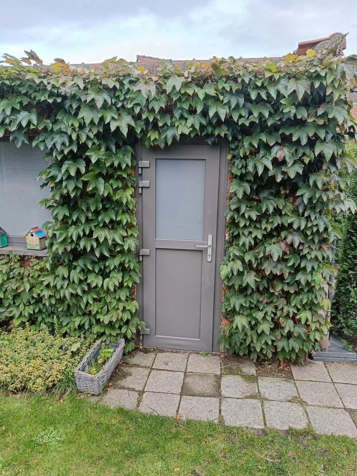 PVC buitendeur Schüco, Doe-het-zelf en Bouw, Deuren en Vliegenramen, Gebruikt, Buitendeur, Glas, Ophalen