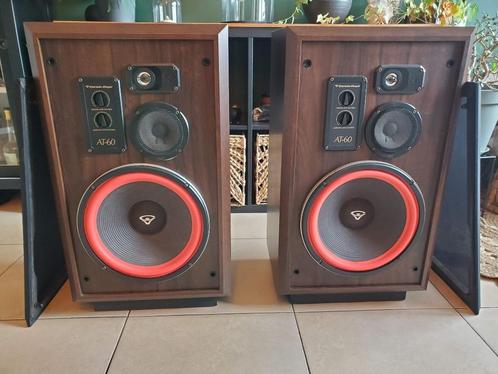 Cerwin-Vega AT-60, Audio, Tv en Foto, Luidsprekerboxen, Gebruikt, Front, Rear of Stereo speakers, Ophalen of Verzenden