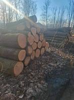 brandhout, Tuin en Terras, Ophalen of Verzenden, Stammen