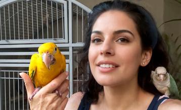 Train & Begrijp Je Vogel als Nooit Tevoren beschikbaar voor biedingen