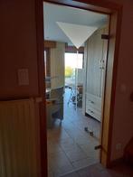 Binnendeur in glas, Doe-het-zelf en Bouw, Deuren en Vliegenramen, Ophalen, 80 tot 100 cm, Binnendeur, 200 tot 215 cm