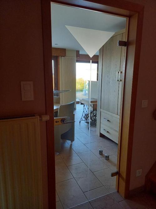 Binnendeur in glas, Doe-het-zelf en Bouw, Deuren en Vliegenramen, Zo goed als nieuw, Binnendeur, 200 tot 215 cm, 80 tot 100 cm