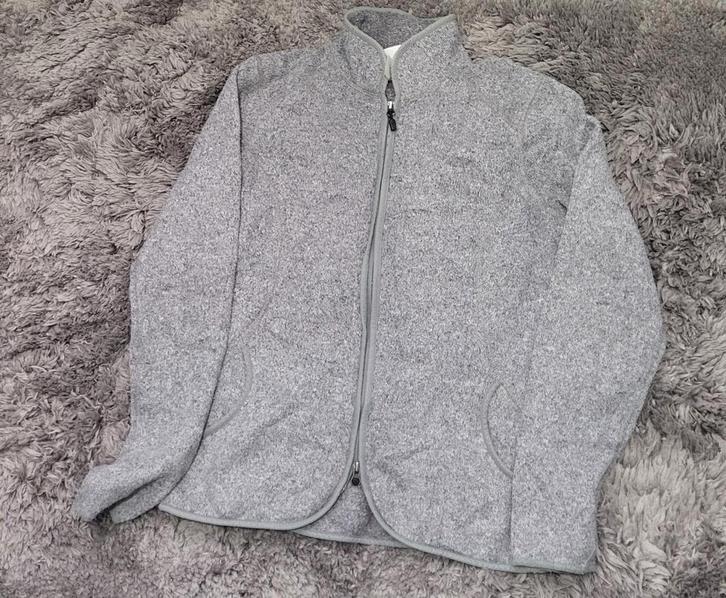 ️ Prachtige The North Face fleece voor dames - maat L, Kleding | Dames, Truien en Vesten, Zo goed als nieuw, Maat 42/44 (L), Grijs