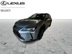 Lexus UX 250h 2.0L HEV executive line, Auto's, Lexus, Te koop, Zilver of Grijs, Stadsauto, 5 deurs