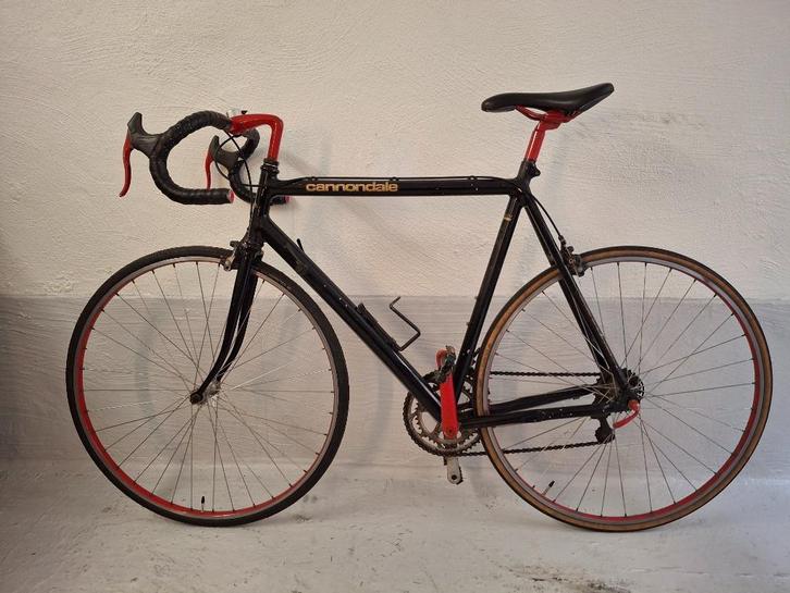Racefiets, Fietsen en Brommers, Fietsen | Racefietsen, Zo goed als nieuw, Heren, 10 tot 15 versnellingen, Ophalen