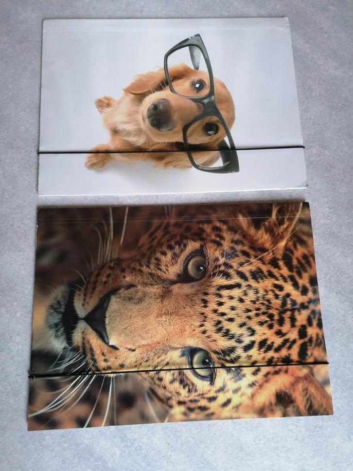 Bureaugerief, schoolgerief, Diversen, Schoolbenodigdheden, Ophalen of Verzenden