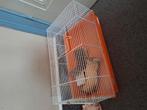 Hamster kooi, Dieren en Toebehoren, Ophalen of Verzenden, Zo goed als nieuw, Kooi, Hamster