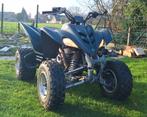 Yamaha Raptor 350 R, Motoren, 12 t/m 35 kW, 350 cc, 1 cilinder