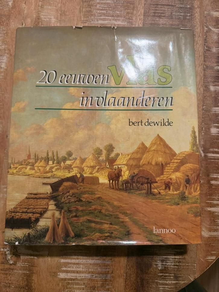 20 eeuwen Vlas in Vlaanderen - Bert Dewilde, Boeken, Geschiedenis | Stad en Regio, Gelezen, 19e eeuw, Ophalen of Verzenden