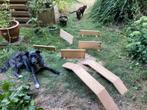 Agility parcours voor katten of chiwawa’s, Dieren en Toebehoren, Katten-accessoires, Ophalen, Zo goed als nieuw
