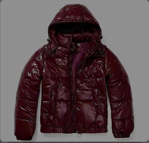 Bordeaux Jas, Kleding | Dames, Wintersportkleding, Nieuw, Ophalen of Verzenden