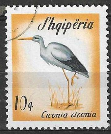 Albanie 1965 - Yvert 797 - Vogels - Ooievaar (ST)