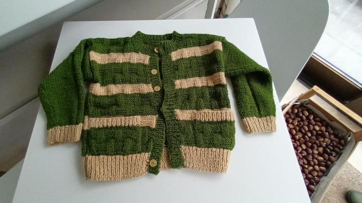 vestje - handgebreid - Maat 110, Kinderen en Baby's, Kinderkleding | Maat 110, Gebruikt, Trui of Vest, Ophalen of Verzenden
