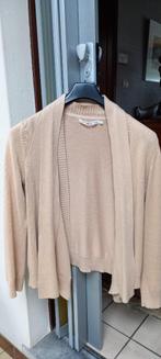 Beige dames golf Tommy Hilfiger maat 42, Kleding | Dames, Beige, Maat 42/44 (L), Ophalen of Verzenden, Zo goed als nieuw